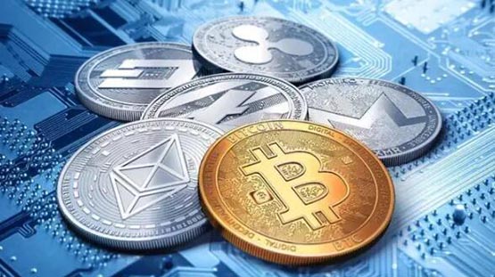 2024年最有潜力的虚拟币有哪些？