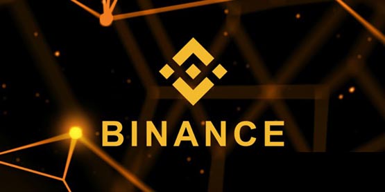 BNBBIAN币怎么样？一文详细了解BIAN币前景