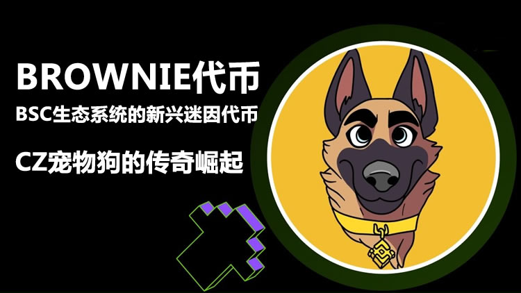 BROWNIE代币：BSC生态系统的新兴迷因代币