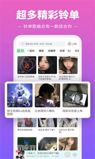 掌材熊