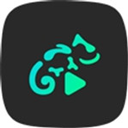 stellio player app下载 stellio player(音乐播放软件) v6.8.0 安卓版官方下载