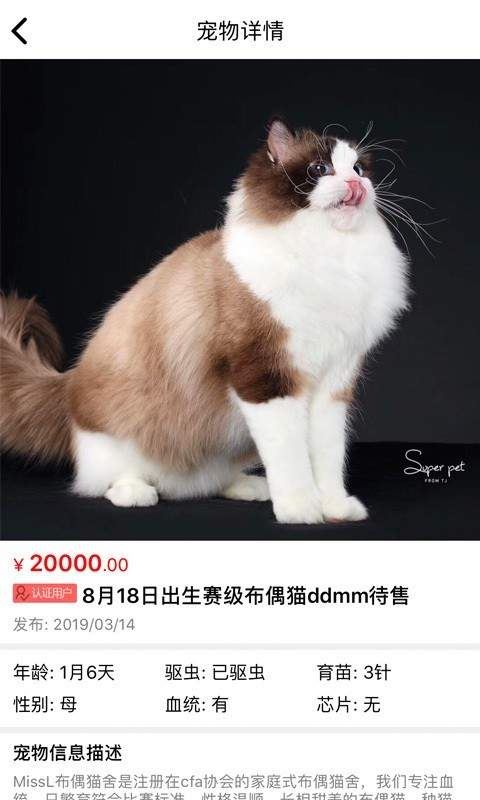 猫行狗市app下载 猫行狗市app for Android V4.0 安卓手机版官方下载