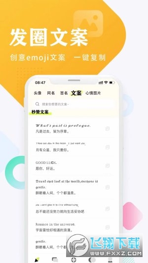 口袋头像