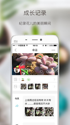 绿手指app