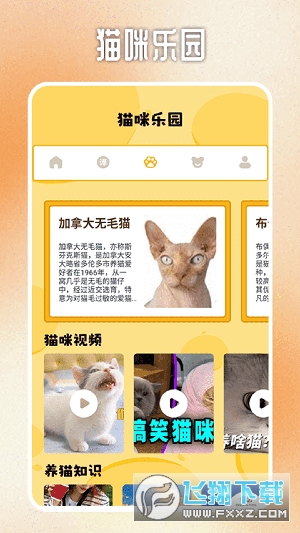 人猫交流翻译器app官方版