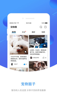 犬易APP安卓版