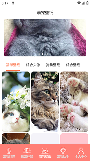 猫宝翻译器app官方版