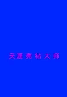 天涯亮钻大师安卓版