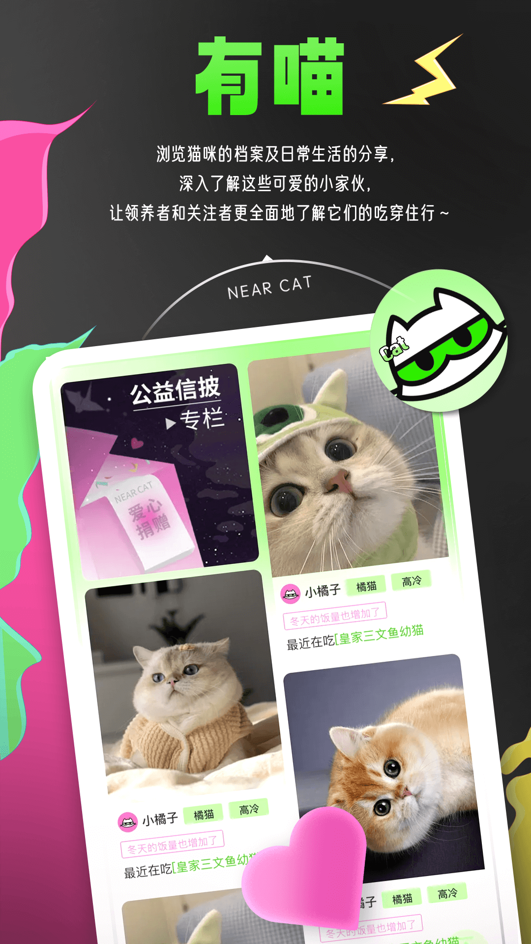附近有喵app官方最新版