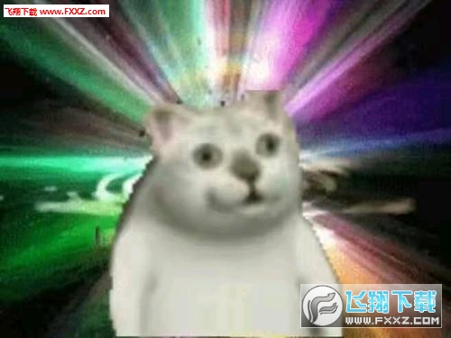 mur猫憨憨猫动图表情包