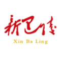 新巴陵客户端官方版