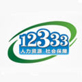 掌上12333全国通用版app