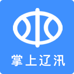 掌上辽汛安卓最新版