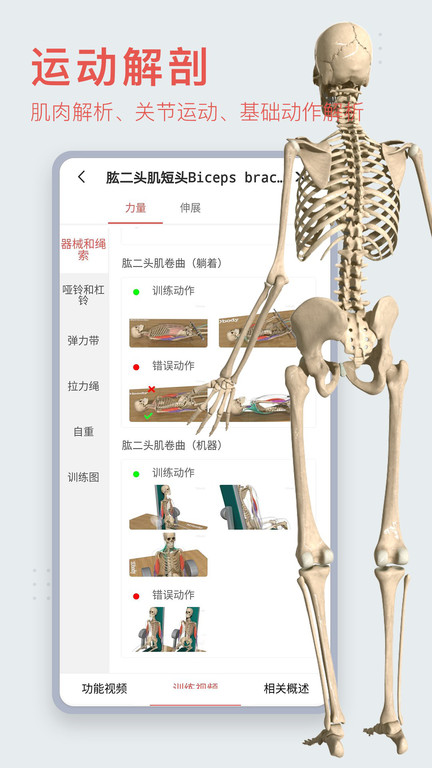 3Dbody解剖学软件