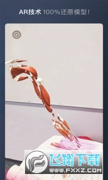 维萨里3D解剖app