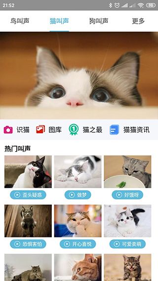 鸟叫声大全app下载 鸟叫声大全(铃声软件) v5.0.3 安卓版官方下载