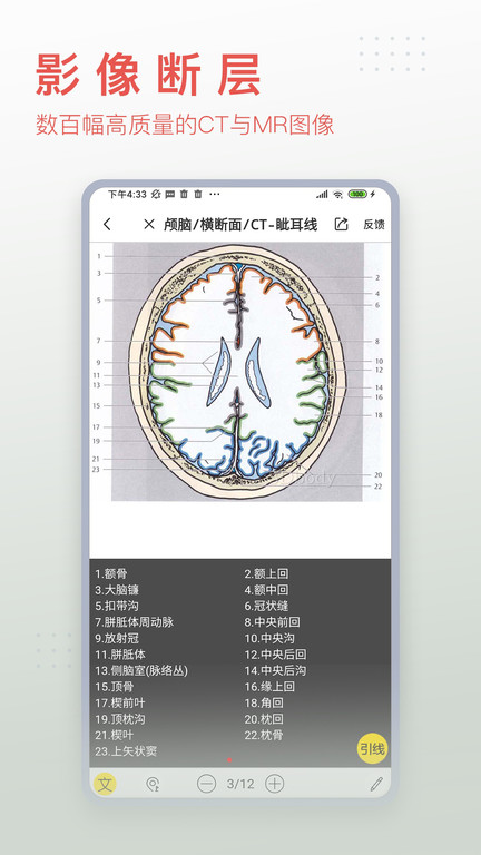 3Dbody解剖学软件