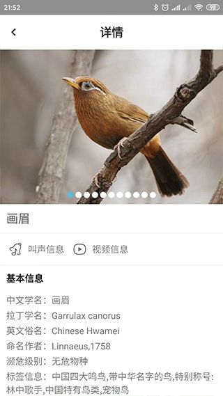 鸟叫声大全app下载 鸟叫声大全(铃声软件) v5.0.3 安卓版官方下载