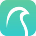 云鹊医认证考试app最新版