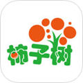 柿子树app
