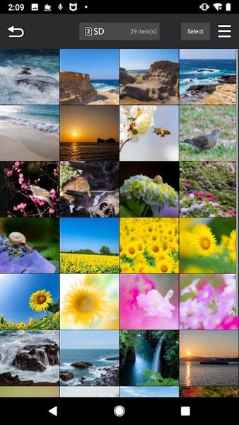 松下LUMIX Sync软件