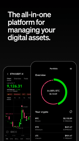 bitbulls交易平台 6.66.0 安卓版