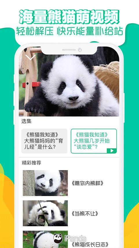 ipand熊猫频道app下载 ipand熊猫频道(大熊猫在线直播软件) v2.3.2 安卓版官方下载
