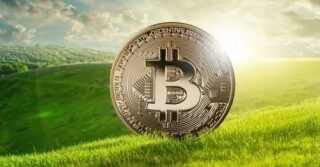 MediBloc（MED）是什么币？MED币总量有多少？
