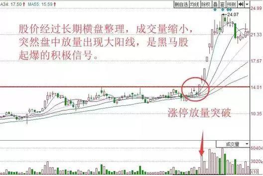 股票技术指标大全详解（股票技术指标大全详解图书）-第5张图片-欧意下载