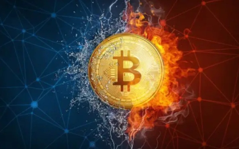 夸克币是什么币 夸克币是不是虚拟币-第2张图片-欧意下载