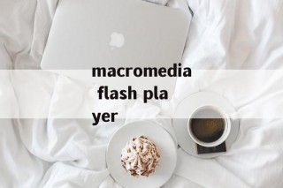 macromedia flash player