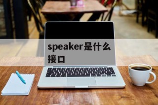 speaker是什么接口（speaker接口怎样接）