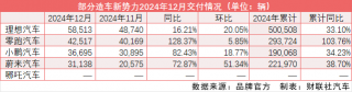 理想领跑2024年国内新能源车市场