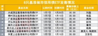 新年基金发行热潮，指数基金和REITs成焦点