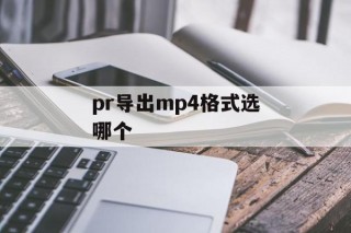 pr导出mp4格式选哪个（pr视频导出选什么格式？）