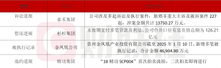 泰禾与杉杉集团深陷财务困境