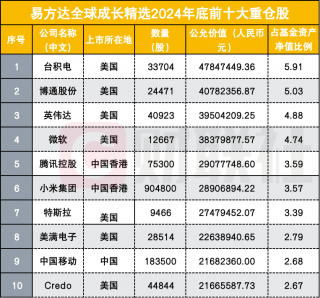 2024年QDII基金收益亮眼，科技股成重仓对象