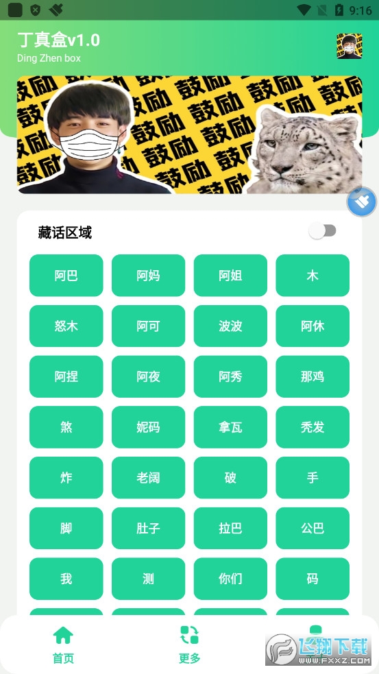 丁真盒(雪豹闭嘴).apk