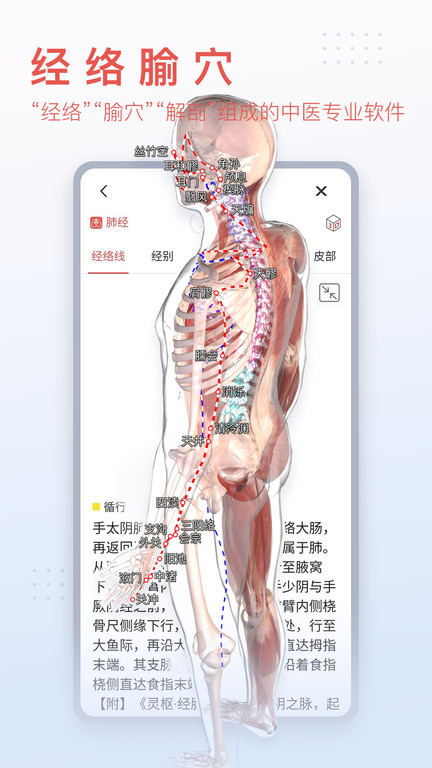 3Dbody解剖学软件