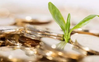 钾肥价格春节后大幅上涨超400元