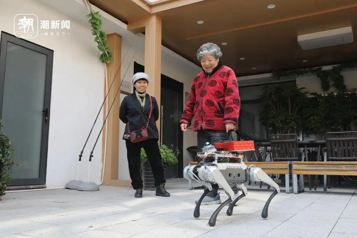 智能机器狗“小西”入驻杭州养老院-第1张图片-欧意下载