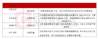 鸿达兴业无法兑付9165万元债券回售本息