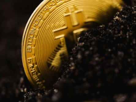 SOL现在多少钱一枚？SOL实时价格行情走势