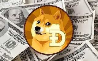 HIPPO是什么币 HIPPO币值得投资吗