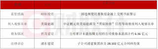 昭阳投资因违规使用资金被上交所警示