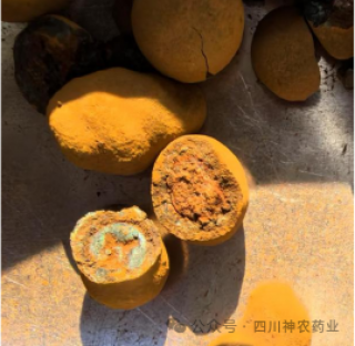 健民大鹏计划转型中成药制造商