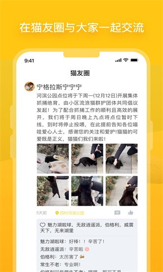 哈啰街猫 安卓版