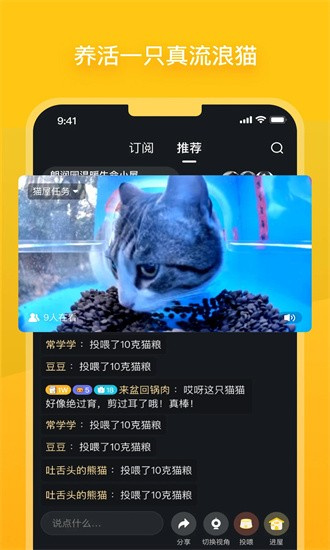 哈啰街猫 安卓版